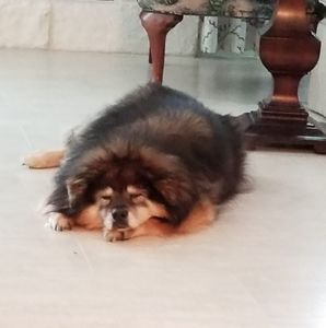 Meet your Posher, Lori